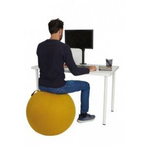 siège ergonomique Ergo Ball