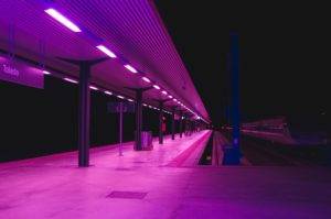 purpleway